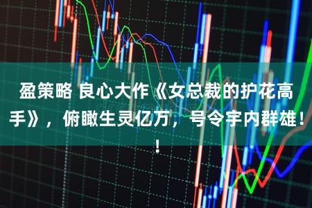盈策略 良心大作《女总裁的护花高手》，俯瞰生灵亿万，号令宇内群雄！