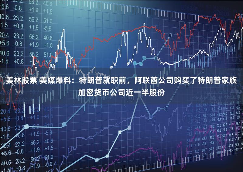 美林股票 美媒爆料:特朗普就职前,阿联酋公司购买了特朗普家族加密货币公司近一半股份