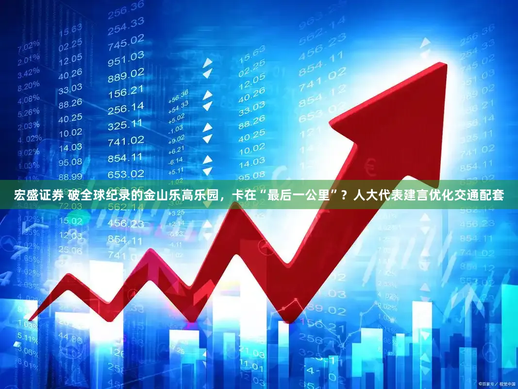 宏盛证券 破全球纪录的金山乐高乐园，卡在“最后一公里”？人大代表建言优化交通配套