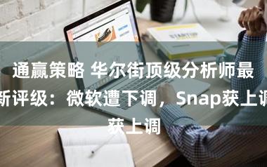 通赢策略 华尔街顶级分析师最新评级：微软遭下调，Snap获上调