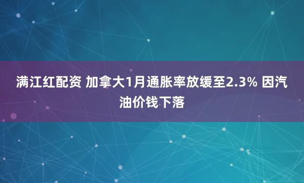 满江红配资 加拿大1月通胀率放缓至2.3% 因汽油价钱下落