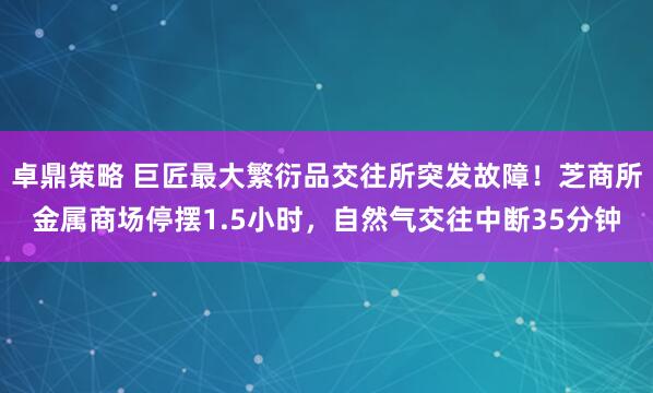 卓鼎策略 巨匠最大繁衍品交往所突发故障！芝商所金属商场停摆1.5小时，自然气交往中断35分钟