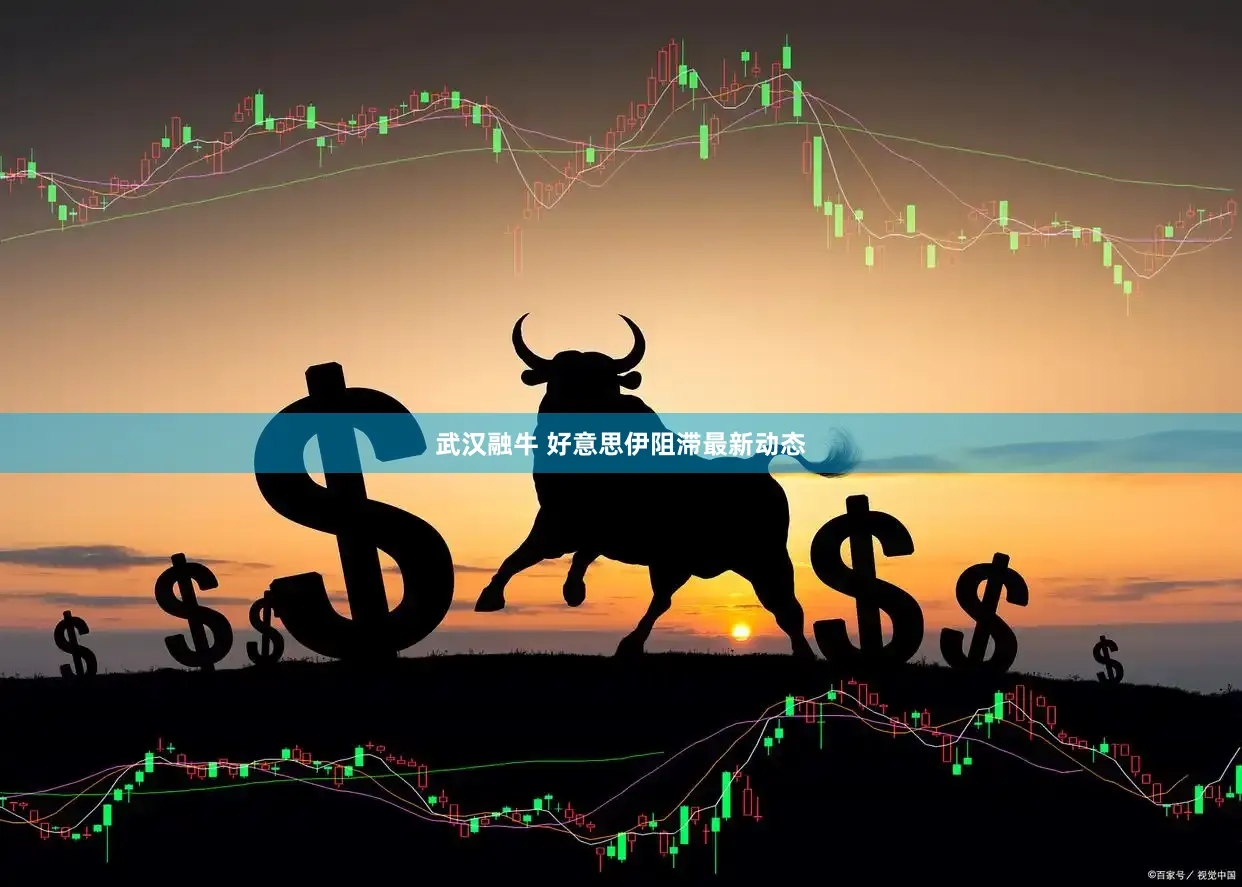 武汉融牛 好意思伊阻滞最新动态