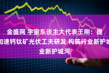 金盛网 宇宙东谈主大代表王刚：提议加速钙钛矿光伏工夫研发 构筑行业新护城河