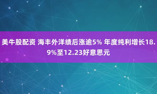 美牛股配资 海丰外洋绩后涨逾5% 年度纯利增长18.9%至12.23好意思元