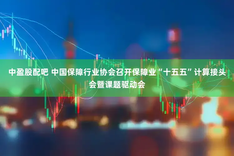 中盈股配吧 中国保障行业协会召开保障业“十五五”计算接头会暨课题驱动会