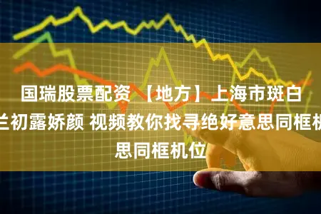 国瑞股票配资 【地方】上海市斑白玉兰初露娇颜 视频教你找寻绝好意思同框机位