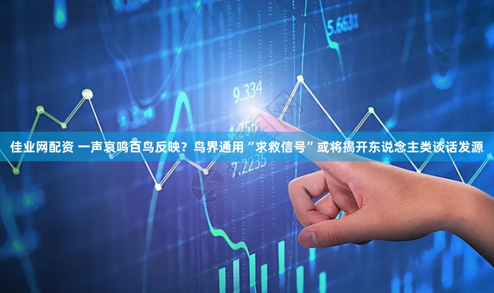 佳业网配资 一声哀鸣百鸟反映?鸟界通用“求救信号”或将揭开东说念主类谈话发源