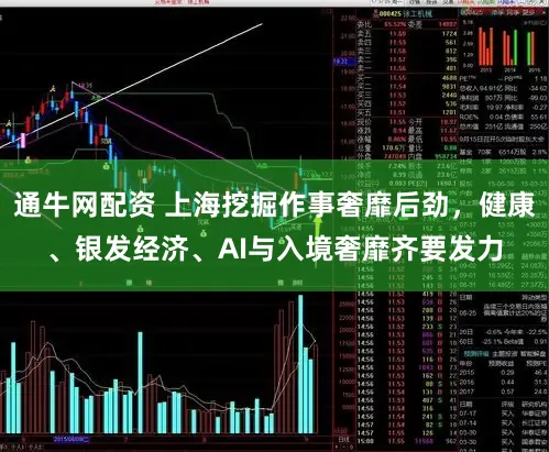 通牛网配资 上海挖掘作事奢靡后劲，健康、银发经济、AI与入境奢靡齐要发力