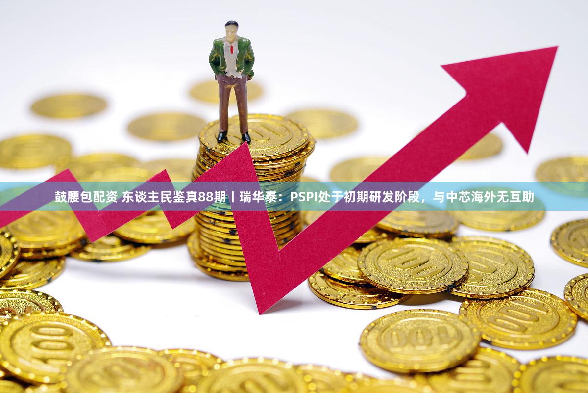 鼓腰包配资 东谈主民鉴真88期丨瑞华泰：PSPI处于初期研发阶段，与中芯海外无互助